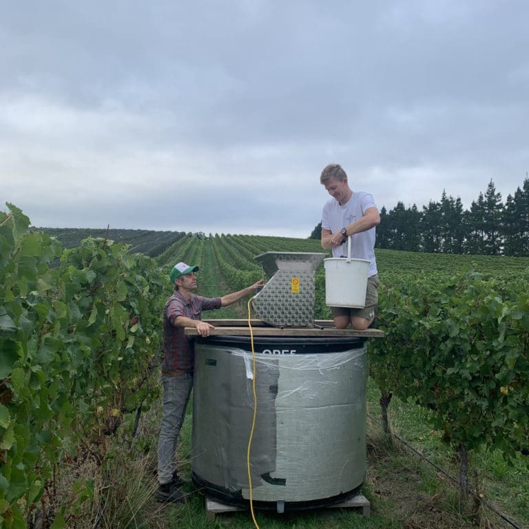 Global Accolade for North Canterbury Wine from ‘million Dollar Nose’